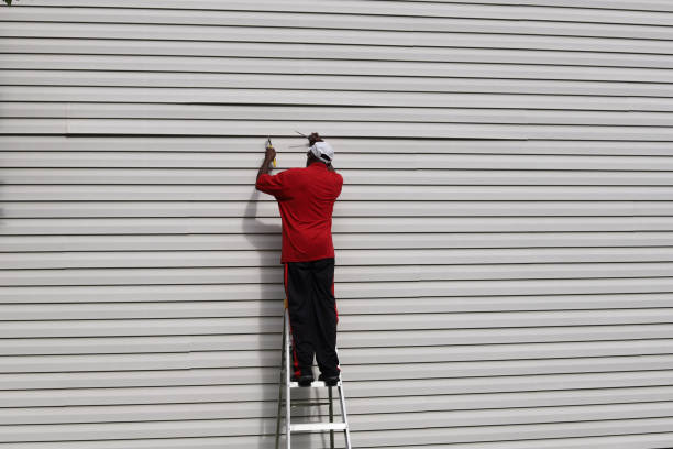 Best Stucco Siding  in Montgomery, MN
